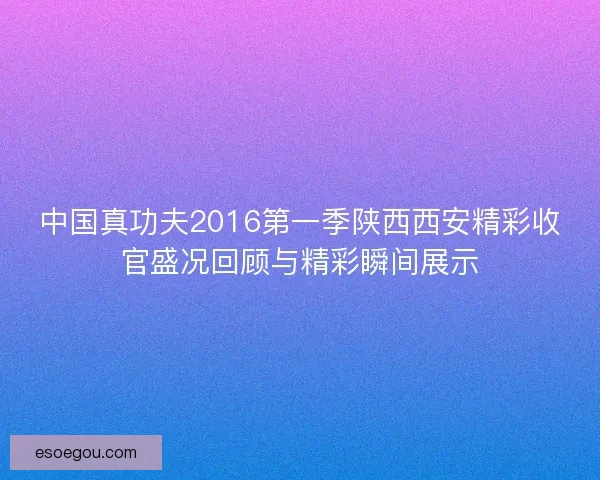 中国真功夫2016第一季陕西西安精彩收官盛况回顾与精彩瞬间展示