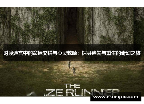 时渡迷宫中的命运交错与心灵救赎：探寻迷失与重生的奇幻之旅
