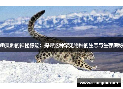 幽灵豹的神秘踪迹：探寻这种罕见物种的生态与生存奥秘