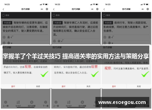 掌握羊了个羊过关技巧 提高通关率的实用方法与策略分享