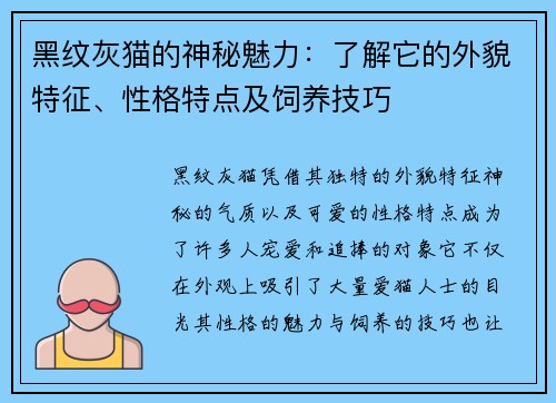 黑纹灰猫的神秘魅力:了解它的外貌特征、性格特点及饲养技巧
